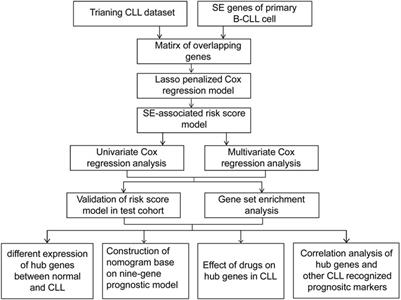 Super-Enhancer–Associated nine-gene prognostic score model for prediction of survival in chronic lymphocytic leukemia patients